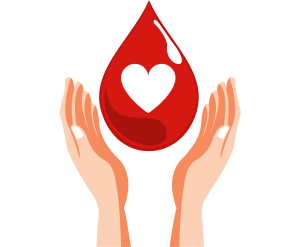 Detoxifies Blood